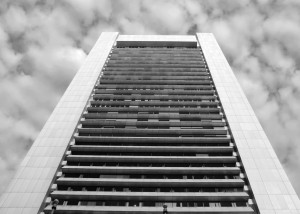 2015-12-Life-of-Pix-free-stock-photos-biston-black-white-macnicolae